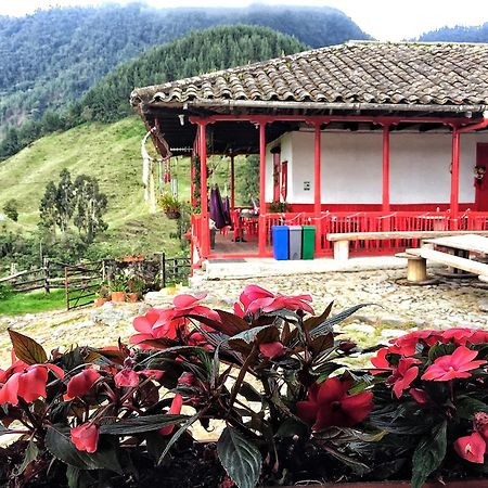 Hostal La Laguna Villamaría Buitenkant foto